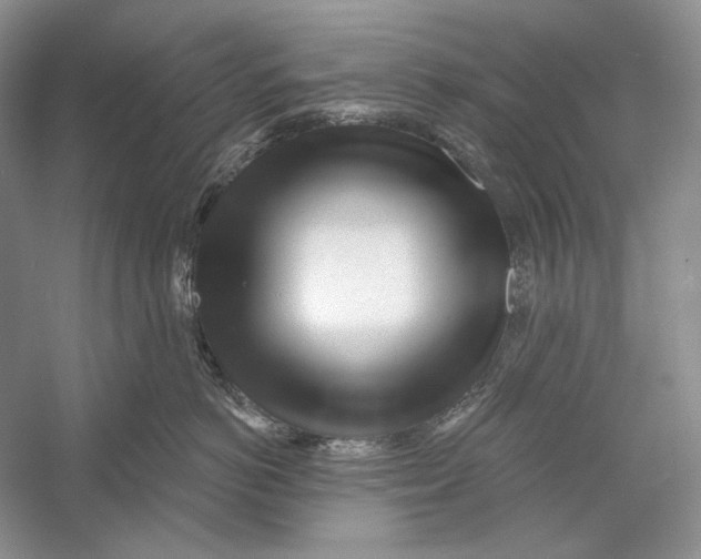 X0000052960766200508050948