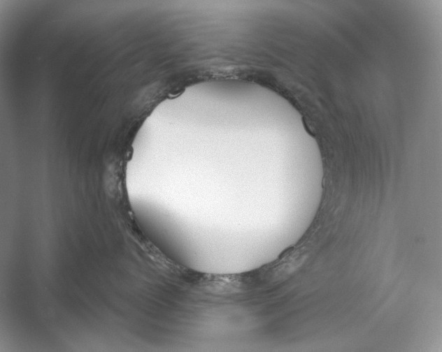 X0000052960768200508050948