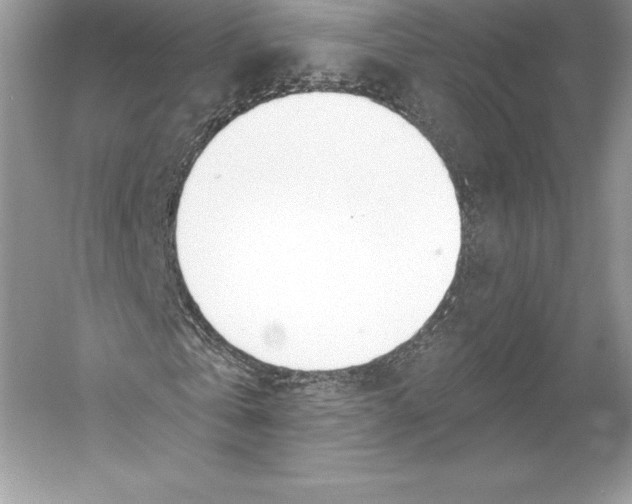 X0000052960769200508050947