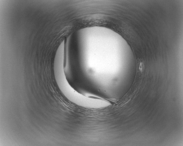X0000052960771200508050947