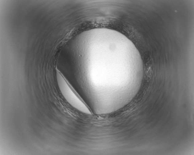 X0000052960772200508050947