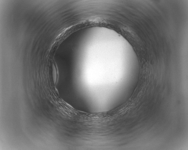 X0000052960776200508050947