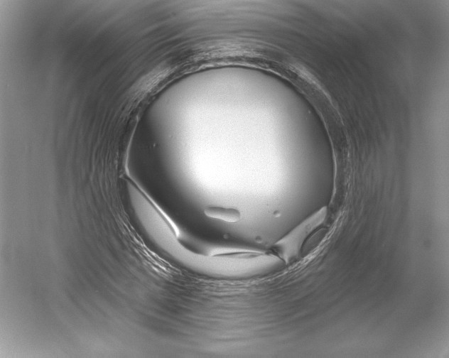X0000052960777200508050947
