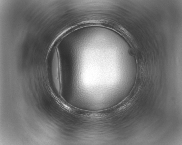 X0000052960779200508050947
