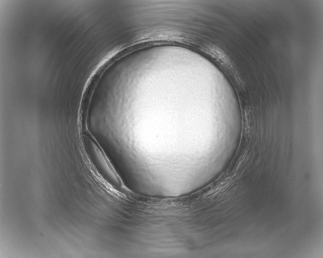 X0000052960780200508050947