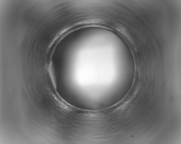 X0000052960781200508050947