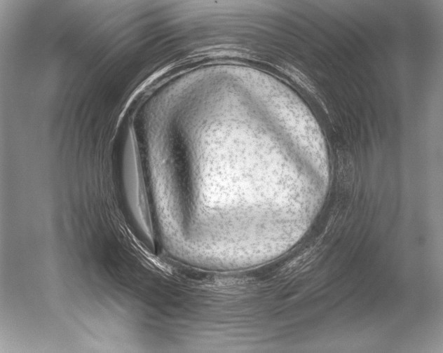 X0000052960782200508050947