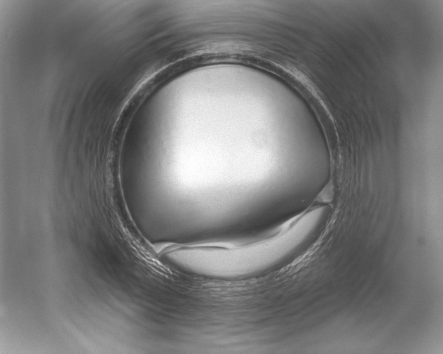 X0000052960783200508050947