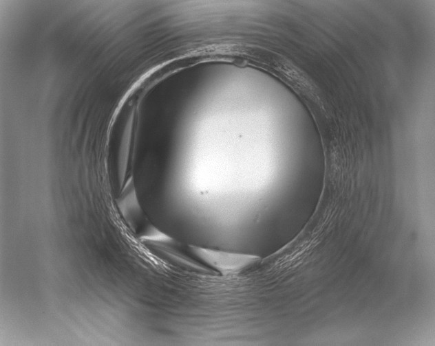 X0000052960784200508050947