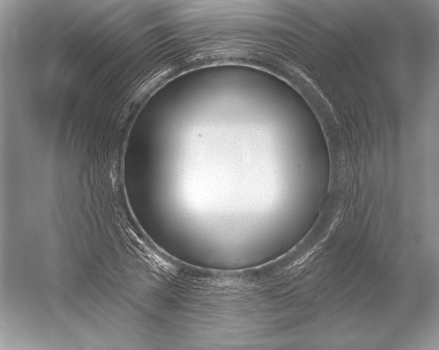 X0000052960785200508050947