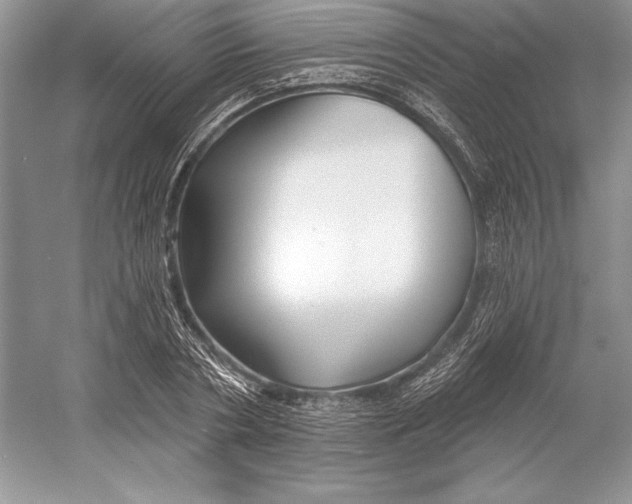 X0000052960786200508050947