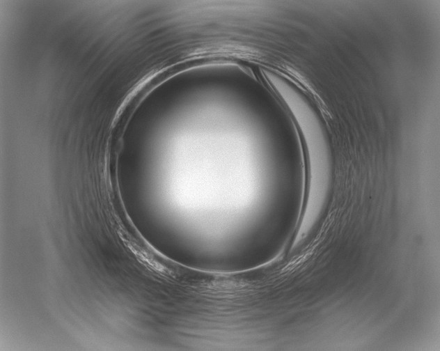 X0000052960788200508050947