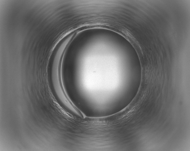 X0000052960789200508050947