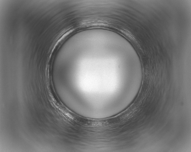 X0000052960790200508050947
