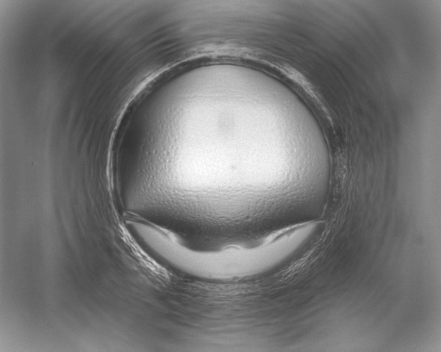 X0000052960791200508050947