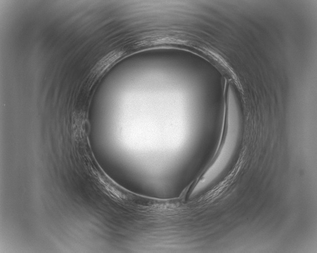 X0000052960793200508050947