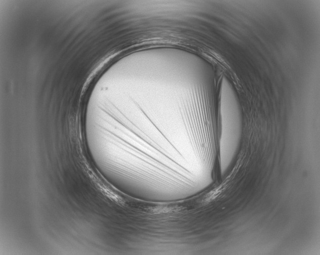 X0000052960796200508050947