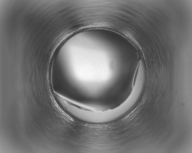 X0000052960797200508050947