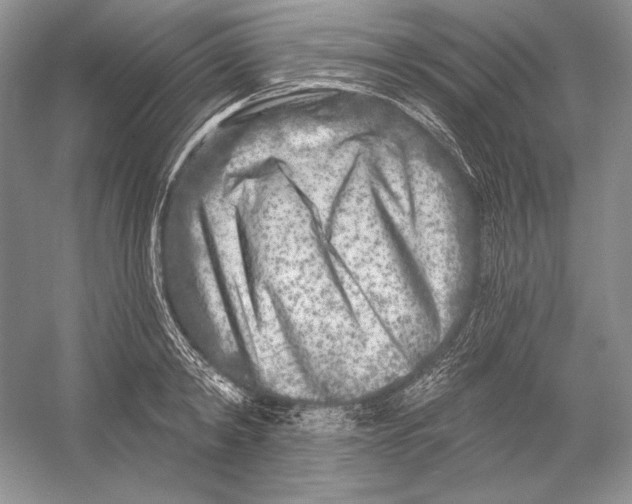 X0000052960798200508050947