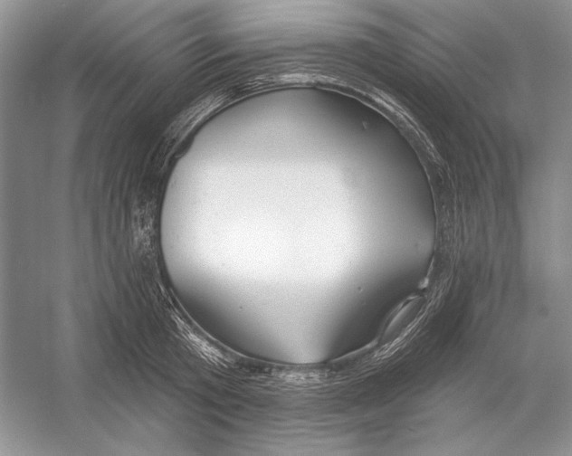 X0000052960801200508050947