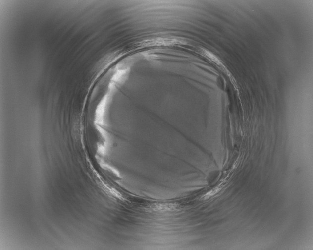 X0000052960802200508050947