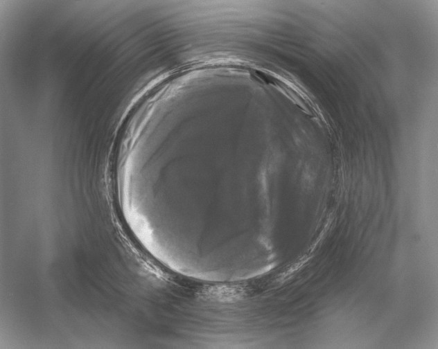 X0000052960806200508050947