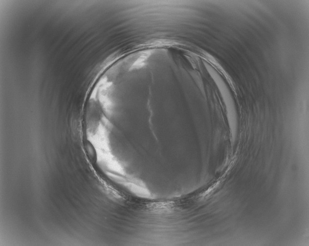 X0000052960810200508050947