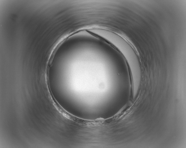 X0000052960813200508050947