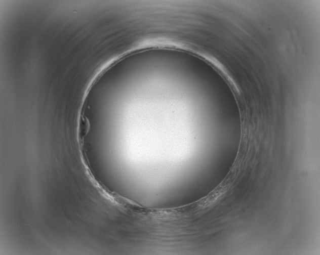 X0000052960815200508050946