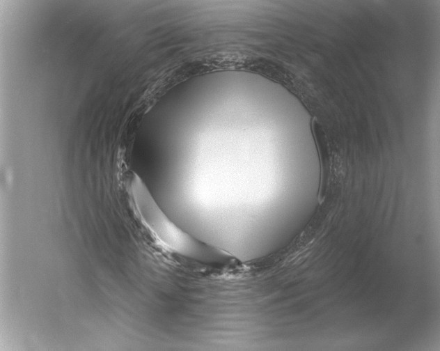 X0000052960818200508050946