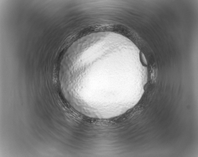 X0000052960819200508050946