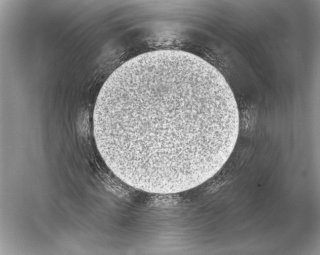 X0000052960820200508050946