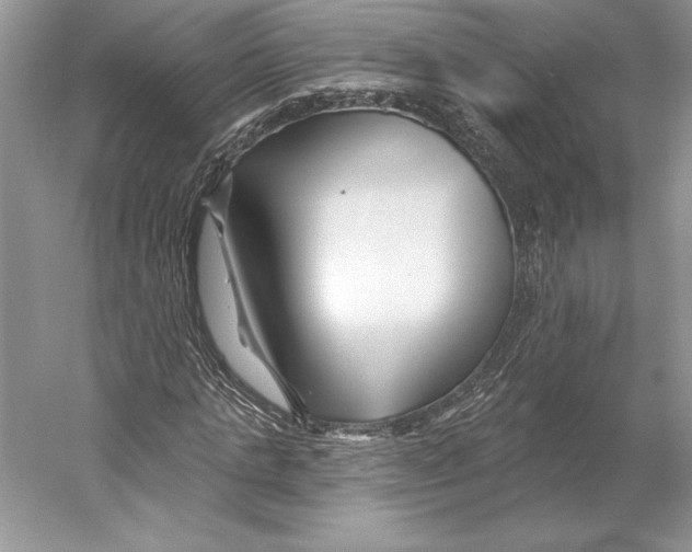 X0000052960821200508050946