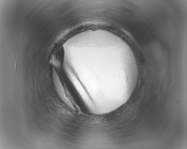 X0000052960823200508050946