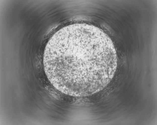 X0000052960824200508050946