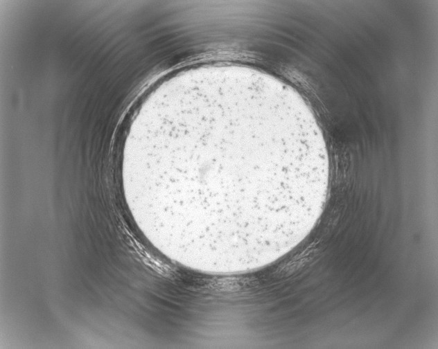 X0000052960828200508050946
