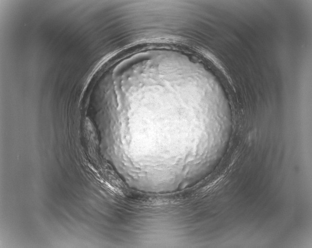 X0000052960829200508050946