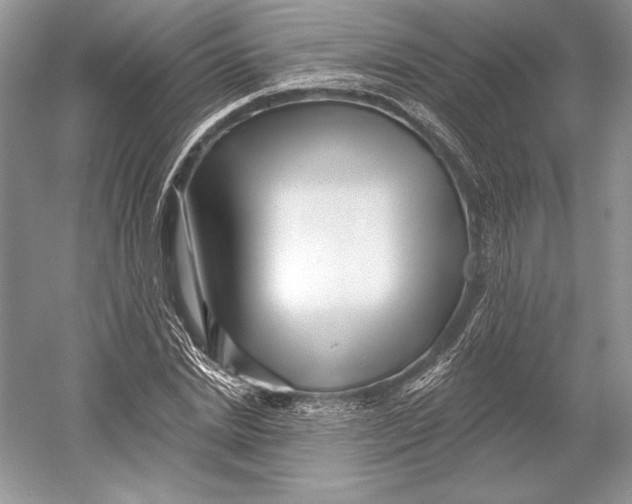 X0000052960830200508050946