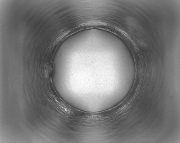 X0000052960833200508050946