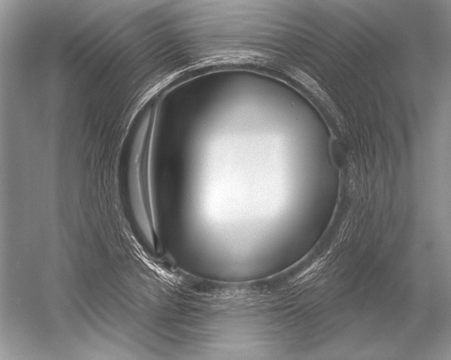 X0000052960834200508050946