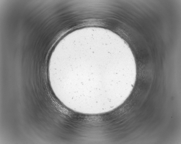 X0000052960836200508050946