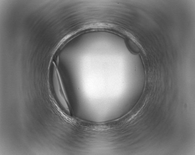 X0000052960837200508050946