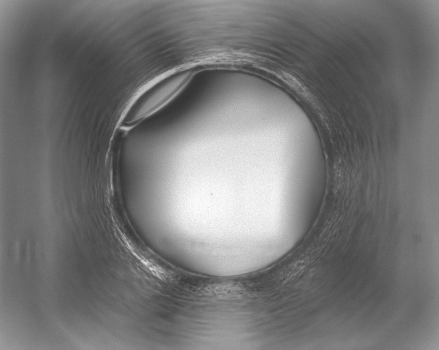 X0000052960838200508050946