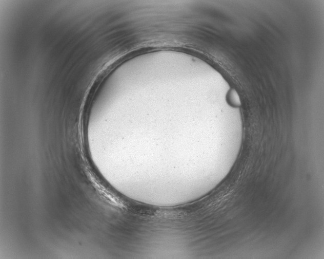 X0000052960840200508050946