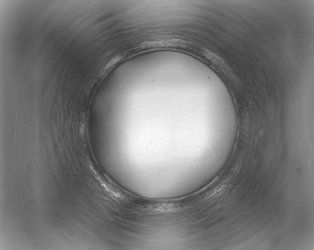 X0000052960841200508050946