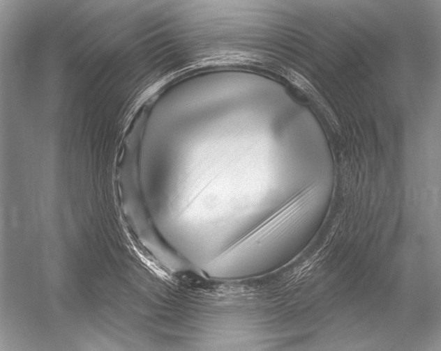 X0000052960842200508050946