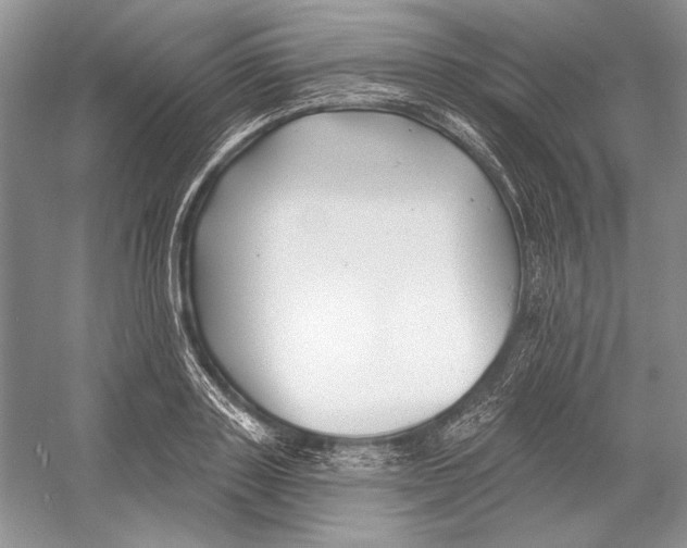 X0000052960843200508050946