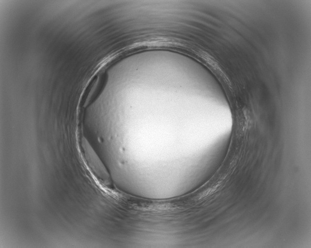 X0000052960845200508050946