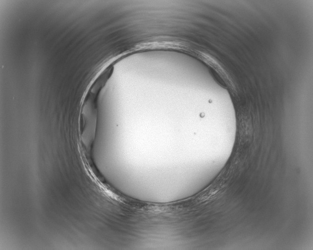 X0000052960852200508050946