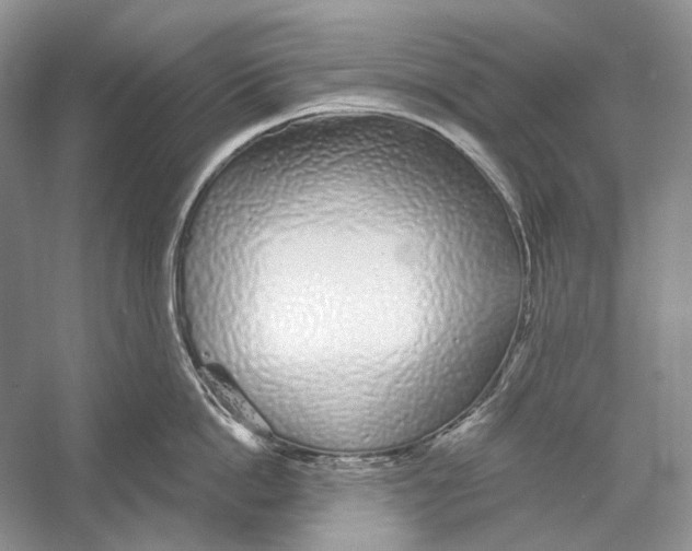 X0000052960862200508050946